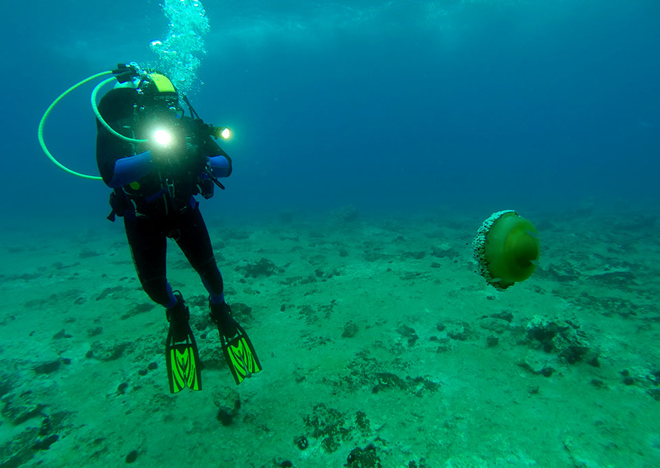 Montenegro Advanced Open Water Diver 