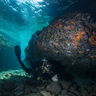 Montenegro reef diving 